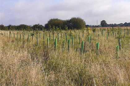 25 acres of Agricultural Land for sale in Cottam