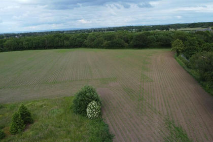 11.4 acres of Agricultural Land for sale in Grappenhall and Thelwall
