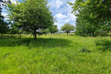 2.4 acres of For sale in Hampton Bishop