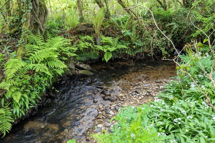 4.3 acres of Undeveloped Land for sale in