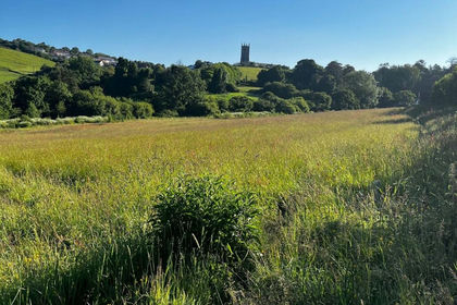 5.1 acres of Agricultural Land for sale in Ugborough