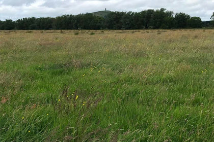12.1 acres of Farmland for sale in Butleigh