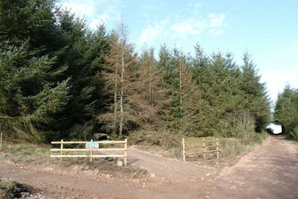 5.8 acres of Woodland for sale in