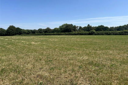 3.5 acres of Agricultural Land for sale in Upottery
