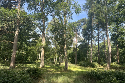 3.7 acres of For sale in Oxfordshire