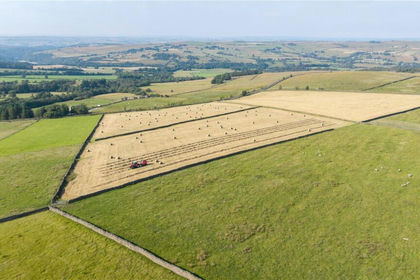 82.9 acres of Agricultural Land for sale in Allendale