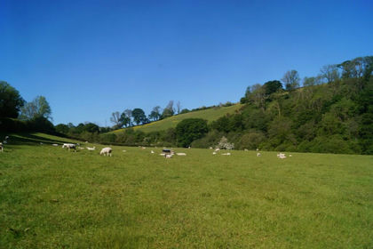 9.9 acres of Agricultural Land for sale in Cynwyl Elfed