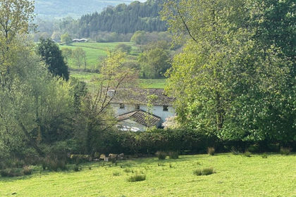 9 acres of House with Land for sale in Talley
