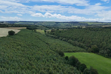 171.5 acres of Timberland for sale in Lanchester