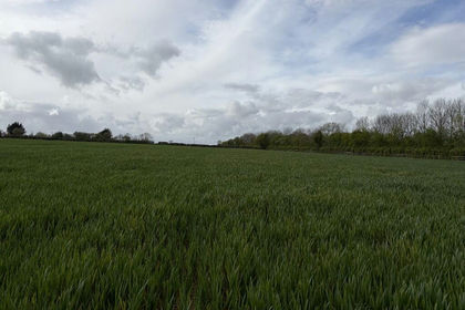 11.5 acres of Arable Land for sale in Ashill