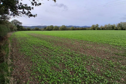 97.7 acres of Farmland for sale in Castlemorton
