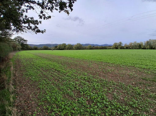 97.7 acres of Farmland for sale in Malvern
