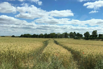 Land for sale in Cadeby