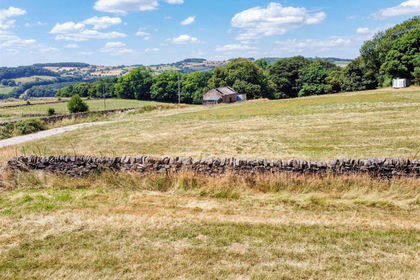 6.8 acres of Agricultural Land for sale in Ripley