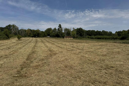 3.5 acres of Equestrian property for sale in Curdridge
