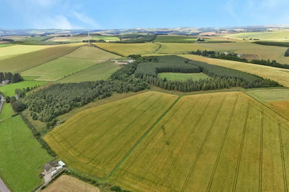 104 acres of Agricultural Land for sale in Gordon and Buchan