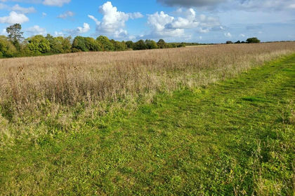 Land for sale in Bromham