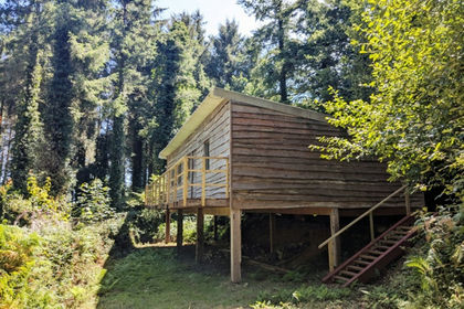 15.5 acres of Woodland for sale in