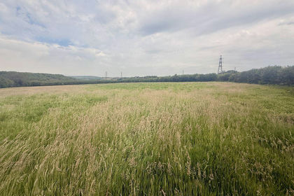 2.4 acres of Pasture for sale in Roche