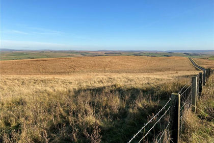 146.8 acres of Agricultural Land for sale in Elsdon