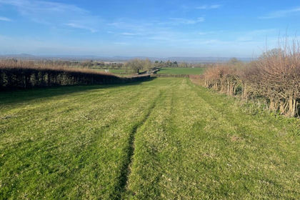 Agricultural Land for sale in Catcott