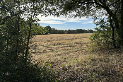 12 acres of Arable Land for sale in Danbury