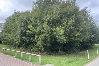 7.9 acres of Woodland for sale in Healing