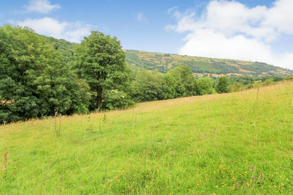 3.3 acres of Farmland for auction in Llansantffraid Glyn Ceiriog