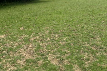 4.1 acres of Vacant Land for sale in North Horsham