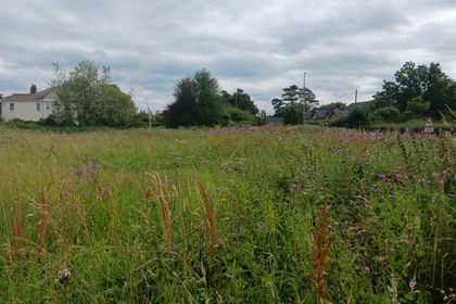 5.2 acres of Grazing Land for sale in Woore