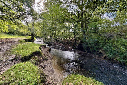 12 acres of Agricultural Land for sale in Briton Ferry