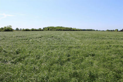23.6 acres of Farmland for sale in Bubwith
