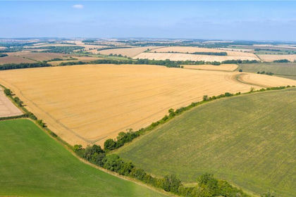 138 acres of Agricultural Land for sale in Hatcliffe