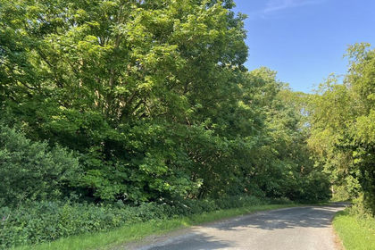 5 acres of Woodland for sale in South Thoresby