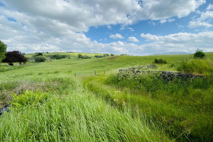 1 acre of Agricultural Land for sale in Dumfries and Galloway