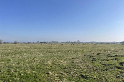 32.8 acres of Agricultural Land for sale in Burtle