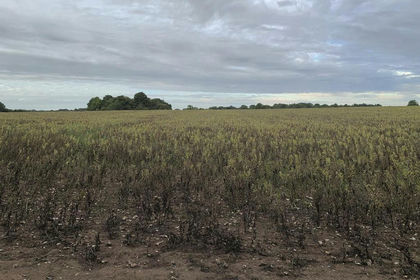 Amenity Land for sale in Epsom and Ewell