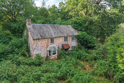 2.3 acres of Derelict property for auction in Steeple with Tyneham