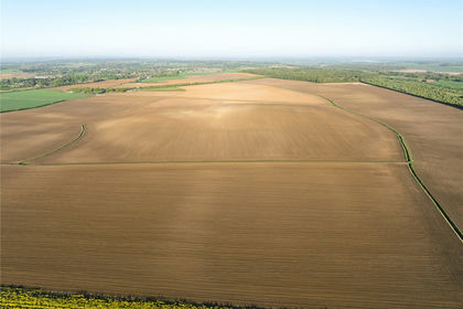 333.3 acres of Arable Land for sale in Cambridgeshire