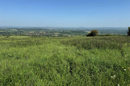 Cheap Land for sale in Okeford Fitzpaine