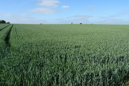11.8 acres of Agricultural Land for sale in Shouldham