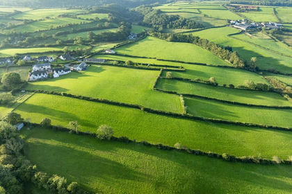 33.7 acres of Agricultural Land for sale in Haile