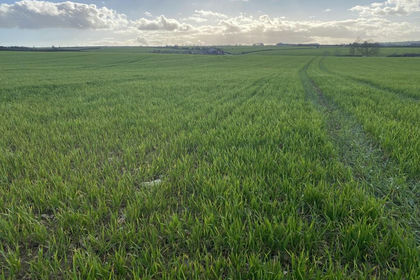 87.8 acres of Arable Land for sale in Shipton-under-Wychwood