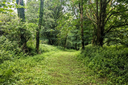 3.5 acres of For sale in Cornwall