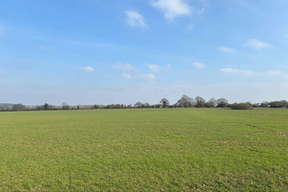 55.4 acres of Agricultural Land for sale in Barningham