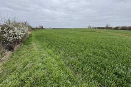 12.6 acres of Arable Land for sale in Coveney