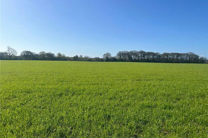 29.8 acres of Arable Land for sale in Healaugh