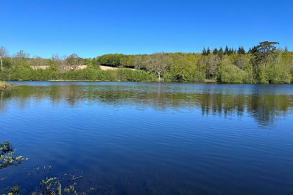 104.5 acres of Timberland for sale in Heathfield and Waldron