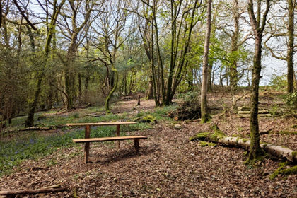 2 acres of Woodland for sale in