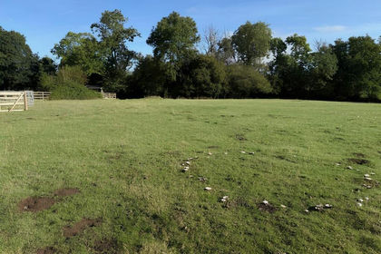 4.5 acres of Pasture for sale in Whitecastle
